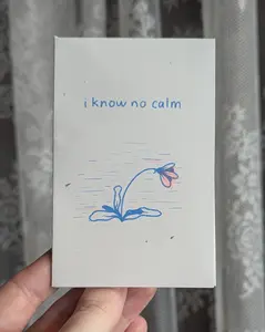 i know no calm zine