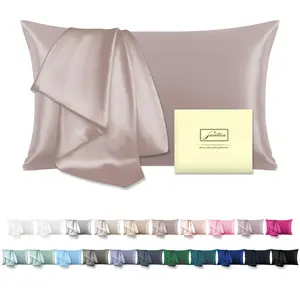 Mulberry Silk Pillowcase for Hair and Skin Standard Size 20"X 26" with Hidden Zipper Soft Breathable Smooth Cooling Pillow Covers for Sleeping(Apricot Gray ,1Pcs)