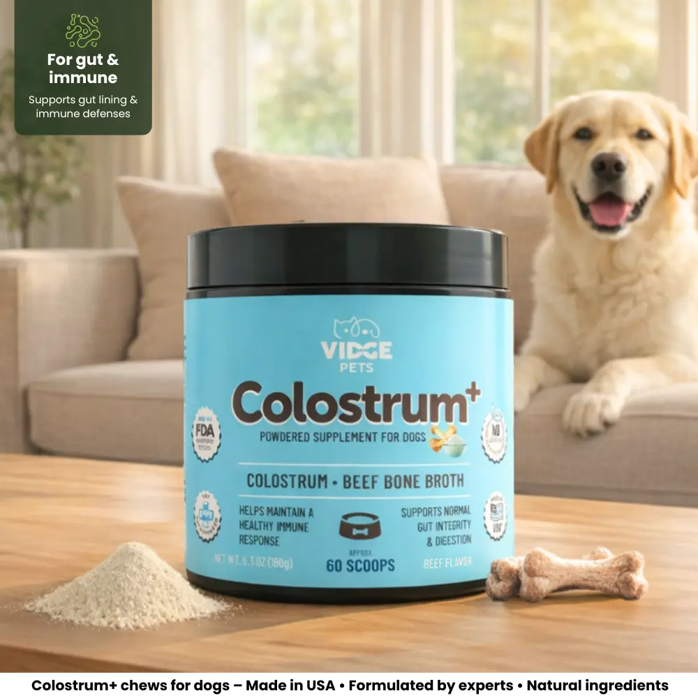 VIDGE PETS Colostrum+ Powdered Supplement for Dogs - Beef Flavor | Colostrum & Beef Bone Broth Dog Immune Support | Supports Gut Integrity, Digestion & Allergy Relief