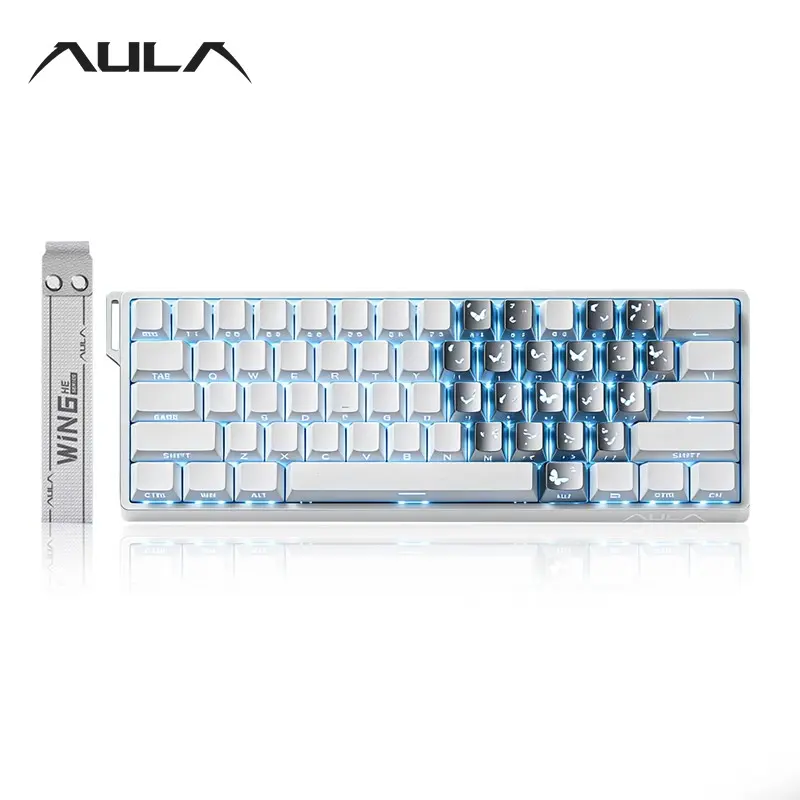 AULA Win60 HE wired game keyboard, Wired gaming keyboard, Rgb backlight keyboard, 60% arrangement, 61-key mini layout, sensitive magnetic axis, high-performance chip, compatible with Windows/AMC system, suitable for e-sports office