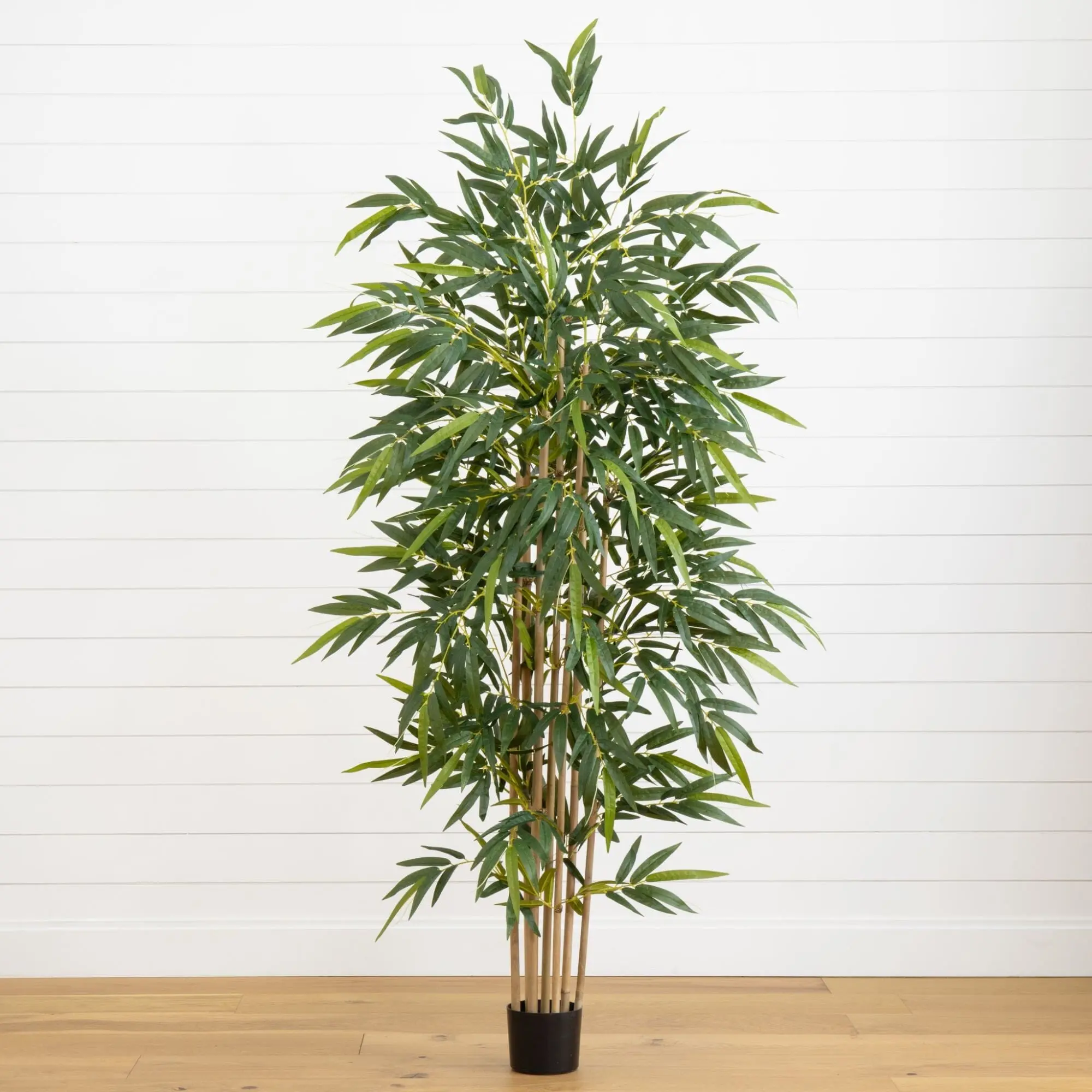 6' Bamboo Tree
