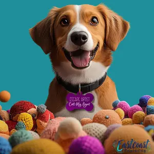 Funny Dog Name Tags – Custom Engraved & Personalized for Pets