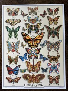 Grateful Dead Co Butterfly Poster New No Frame