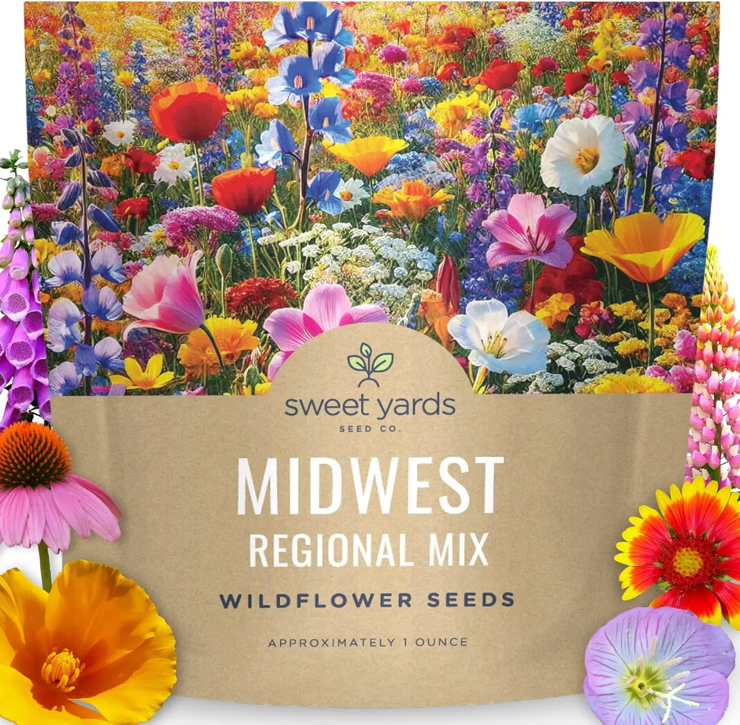 Midwest Regional Wildflower Seeds Mix, 15,000+ Flower Seeds for Planting, 1 oz Bulk Packet of Native Wildflowers for Outdoor Gardens & Landscapes