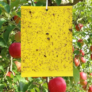 Yellow Sticky Traps -20 Packs for Flying Plant Insects, Fungus Gnats, Aphids, Whiteflies, Leafminers - 6x8 Inches (Contains 20 Traps 20 Wire,5 plastic holder)