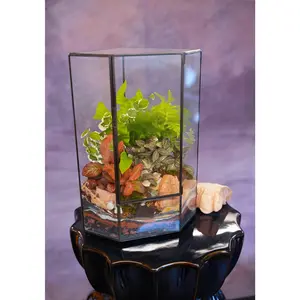 Avalon Terrarium