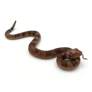 Fake Snake Toy Realistic Rubber Snake Toy 10.3" Rattlesnake Figurine Scare Birds, Prank Props for Halloween Party, Gag Gift for April Fool's Day