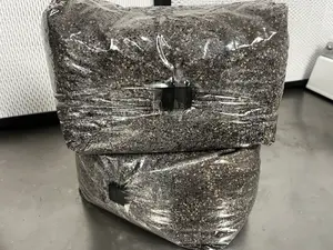 All-in-One Grow Bag - 5lb - Designed by Mycologists - No Break and Shake!