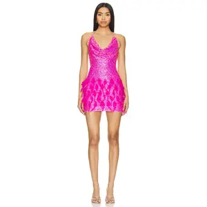 Lovers and Friends Irene Mini Dress in Pink