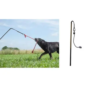 Tether Tug BIG Tether Tug Dog Toy for Dogs over 70 pounds