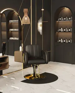 Baasha Black and Gold Salon Chair for Hair Stylist, with Comfortable Cushion, Upgraded Heavy Hydraulic Pump, 360 Degree Rotation, Professional Stylist Chair for Salon, Weight Capacity 440 lbs