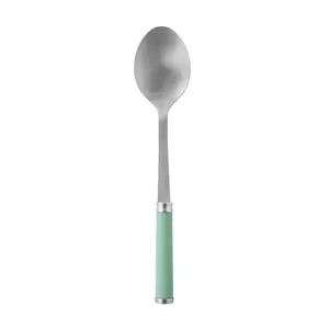 Stainless Steel Basting Spoon