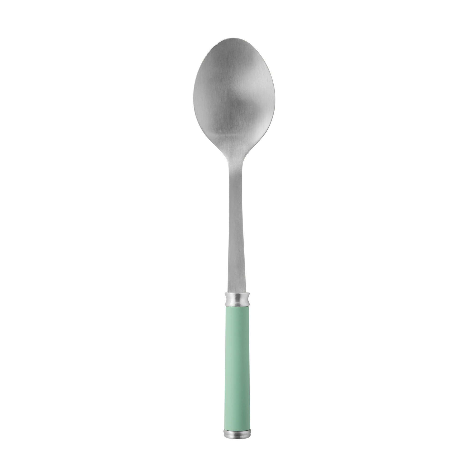 Stainless Steel Basting Spoon