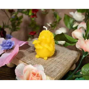 Whimsical Hedgehog Home Decor