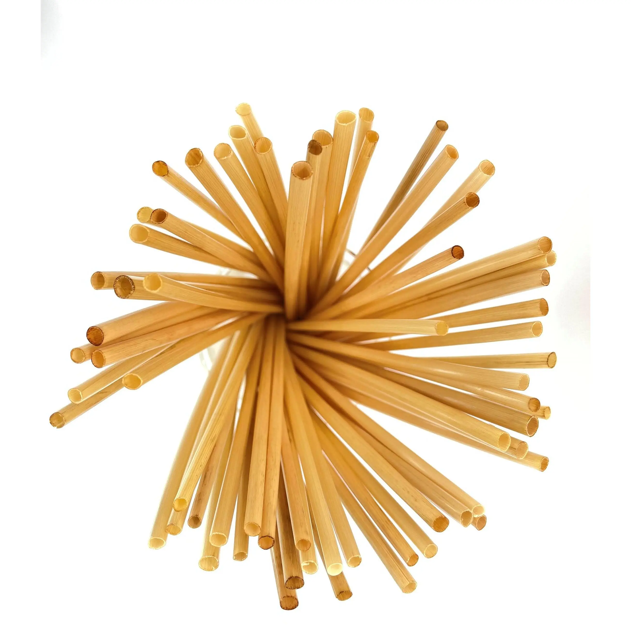 Disposable Wheat Straw (100 straws)