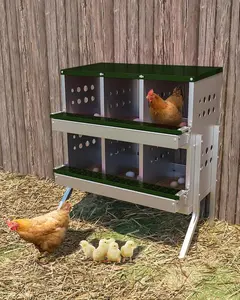 Green Chicken Nesting Box for Laying Eggs, Roll Away Chicken Laying Boxes, Roll Out Nesting Boxes for Hens, 6 Compartments with Legs