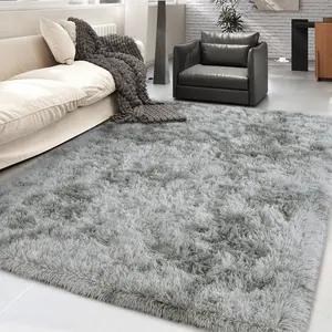 Tie Dye Area Rug, Shag Area Rugs for Bedroom Living Room Ultra Soft Fluffy Area Rugs for Dorm, Indoor Carpet Nursery Rugs for Kids Room Home Decor, Perfect Indoor Decor for Boys and Girls, Upgrade Non-Slip, Home Decor Aesthetic, Summer wins