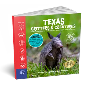 Texas Critters & Creatures: 2025 Edition - Explore 22 Texas Wildlife Creatures with Fun Facts for Kids Ages 4-11