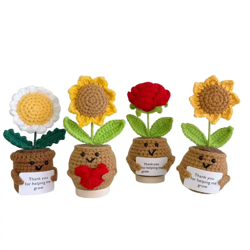 cactus flower meaning - TikTok Shop