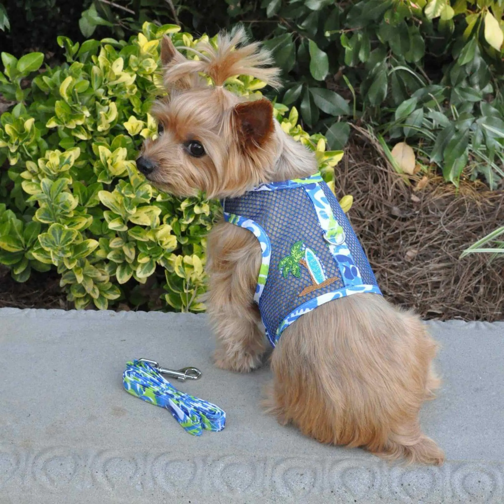 Cool Mesh Dog Harness for Small Dogs | Surfboard Pattern