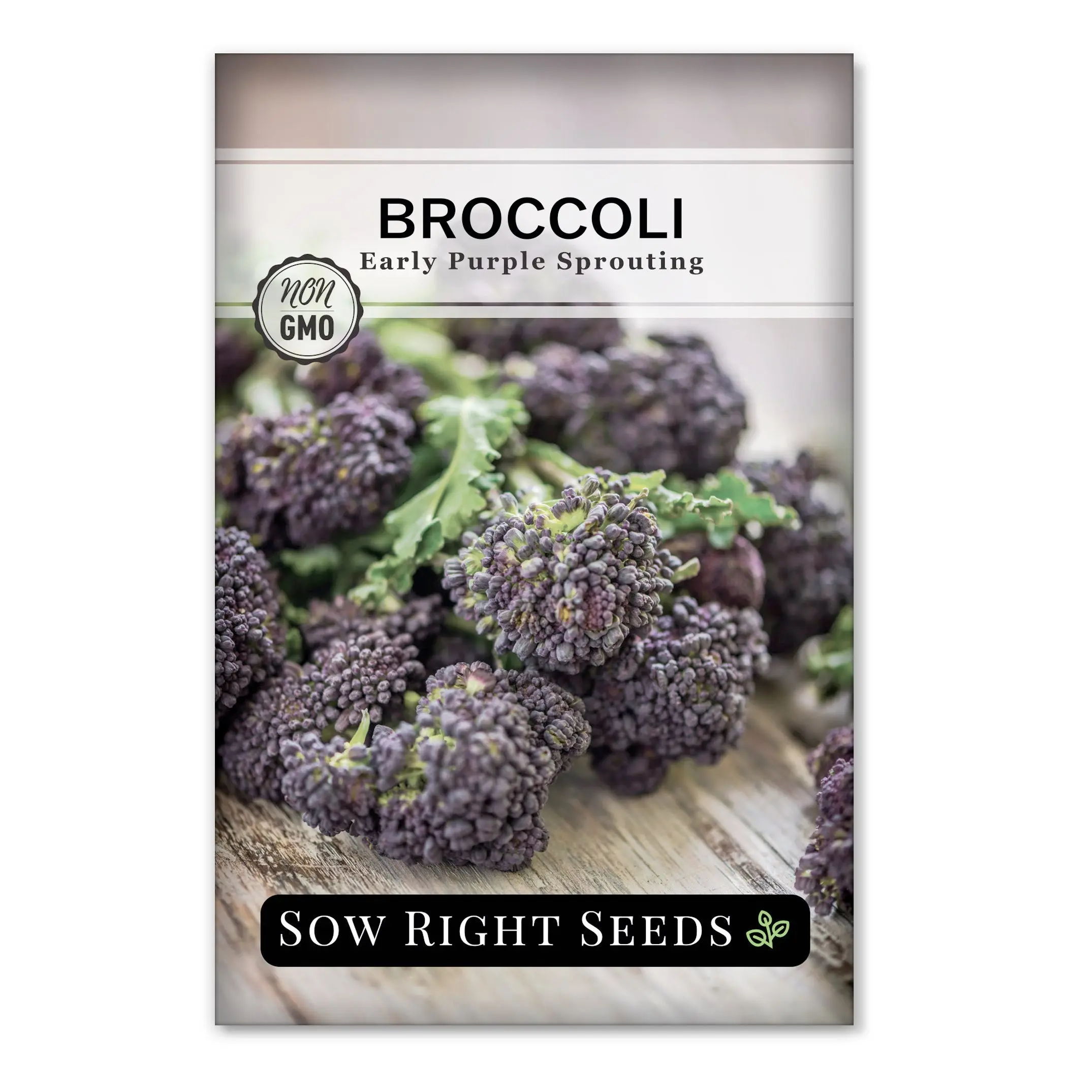 Early Purple Sprouting Broccoli