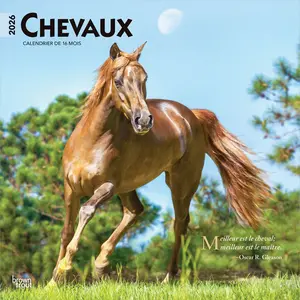 Chevaux | 2026 12 x 24 Inch (Hanging) Monthly Square Wall Calendar | French Language | BrownTrout | Animals Horses Equestrian