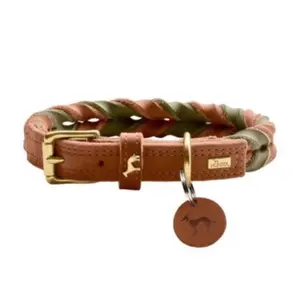 SOLID EDUCATION Duo Collar