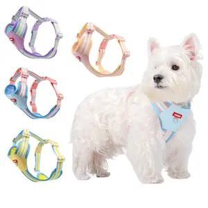 Escape Proof No Pull Dog Harness with Leash Set for Small Sized Dog, Reflective Adjustable No Choke Front Clip Cat Vest Harness with Breathable Mesh, Comfortable Soft Padded Pet Vest.