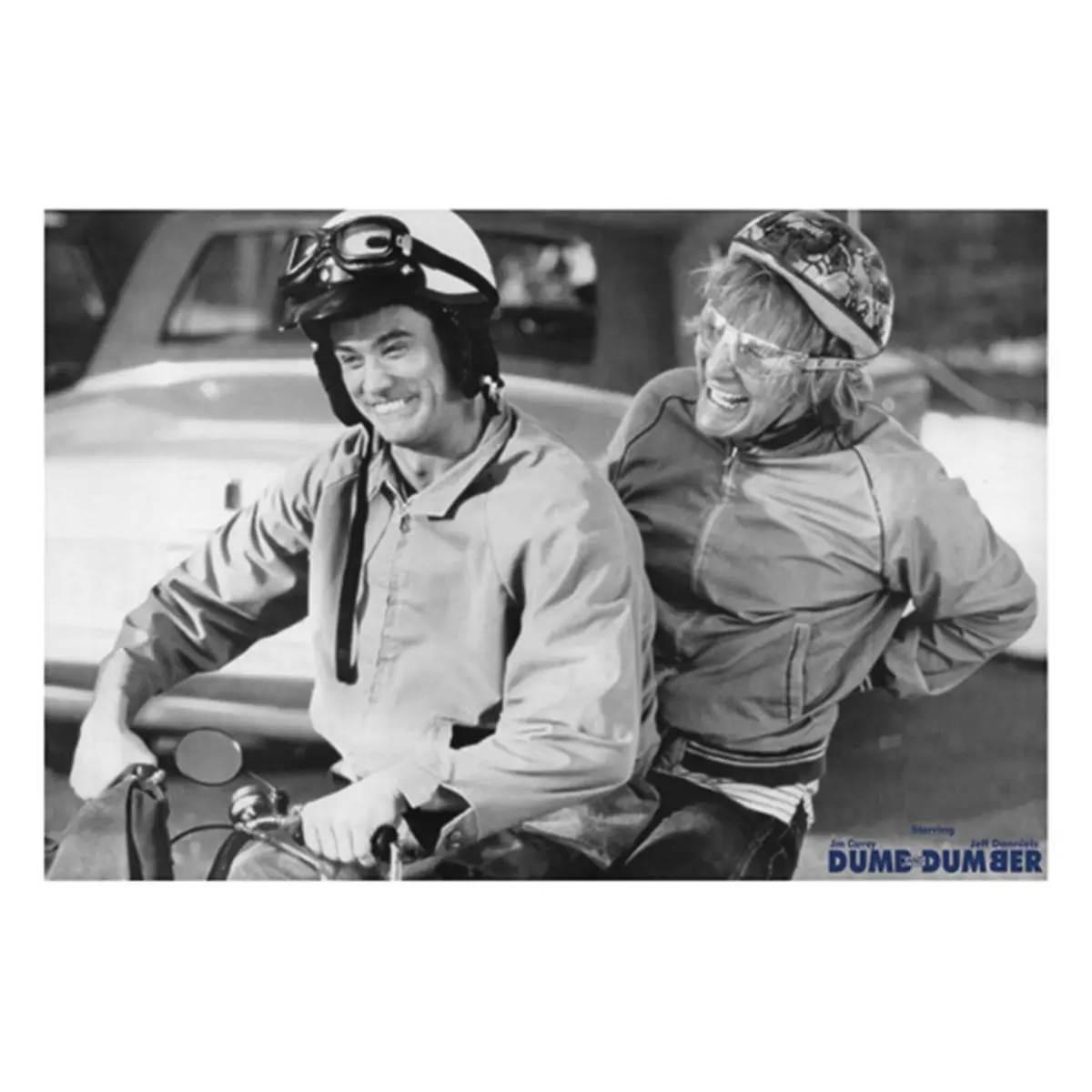 Hot Stuff Enterprise Z81-24x36-NA Dumb and Dumber Poster, 24 x 36