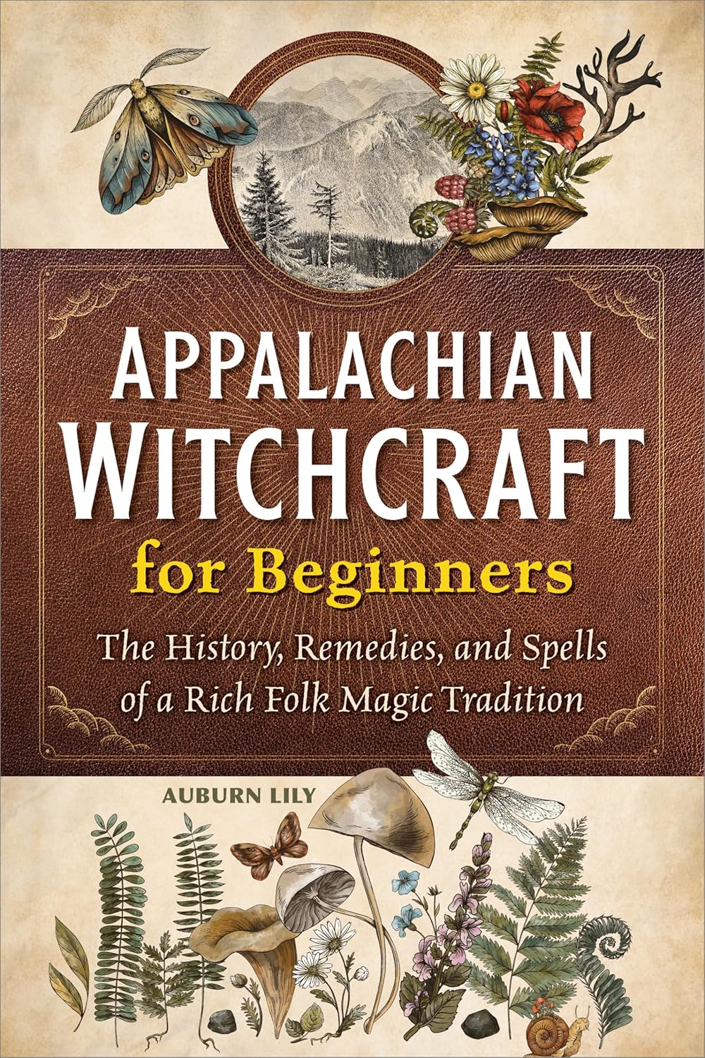 Appalachian Witchcraft for Beginners: The History, Remedies, and Spells of a Rich Folk Magic Tradition Appalachian Witchcraft for Beginners: The History, Remedies, and Spells of a Rich Folk Magic Tradition