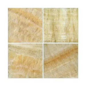 Aurora Onyx 12x12 Field Tile Polished