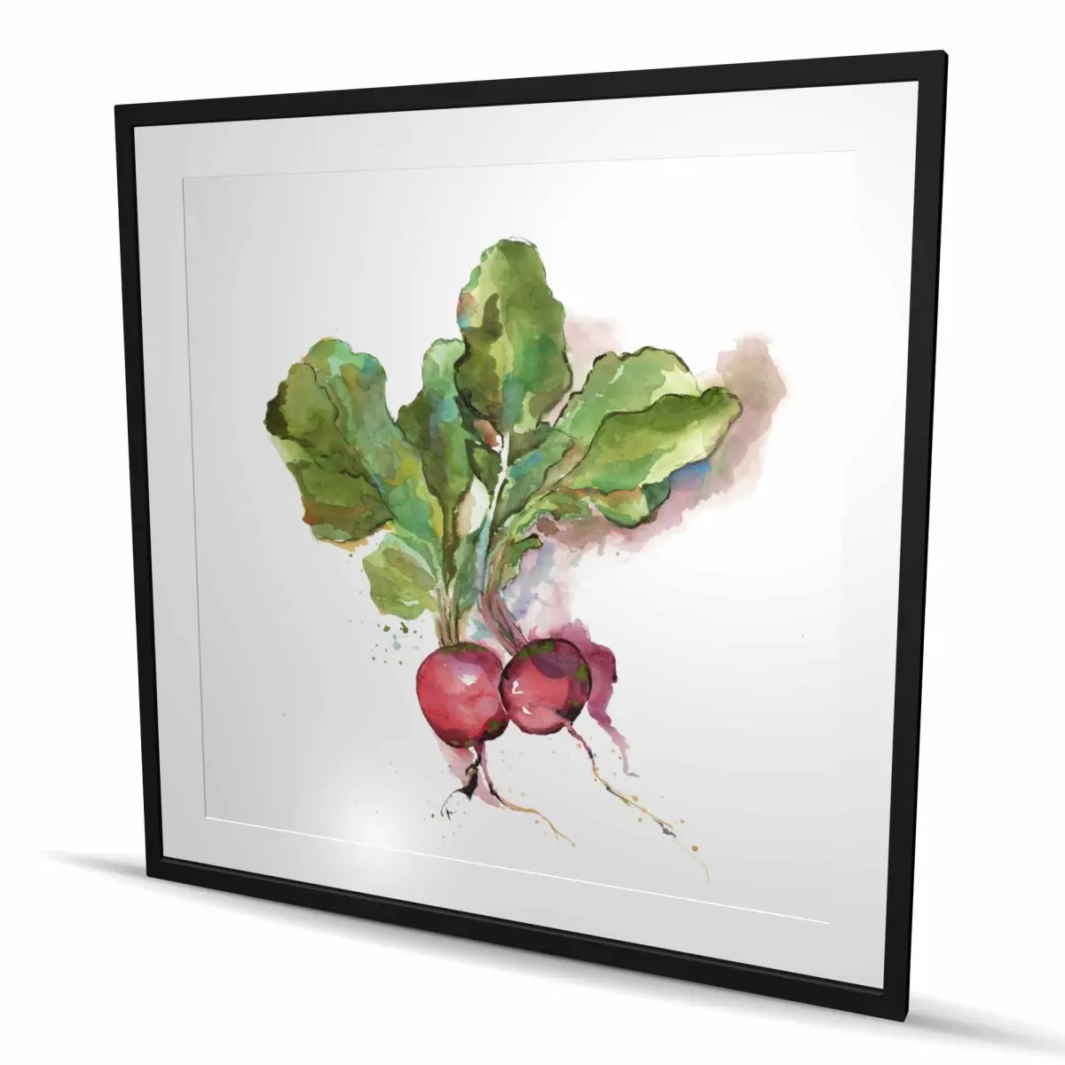 Begin Home Decor C1FM4848KG7L5M 48 x 48 in. Watercolor Radish - Framed Matted Print Wall Art for Kitchen Decor