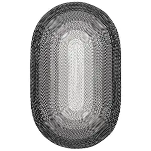 Juliana Ombre Braided Indoor/Outdoor Area Rug