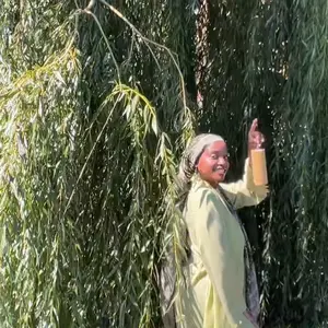 Women's Plain Tie Front Flounce Sleeve Modest Dress, Elegant Long Sleeve Round Neck Dress for Spring & Fall, Women's Clothing for Daily Wear