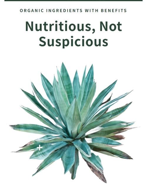 ALOHA Chocolate Protein Powder | 18g Plant Protein 15-Servings, 4g Sugar | Pea, Brown Rice & Pumpkin Seed | Certified USDA Organic, Vegan, Stevia-Free, Soy-Free | Rich & Creamy With MCT Oil Fitness Supplements Natural Supplements