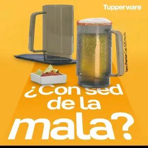 Tupperware Beer Mug 525ml - Ideal Drinkware for Casual Enjoyment Reusable Washable Reuse (2-pc)