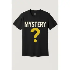 Mystery Graphic Tee |   Premium Gildan/District Heavy Cotton Blank Tee |   Unisex Soft Breathable Random Graphic Casual T-Shirt |   Gift for Graphic Tee Lovers