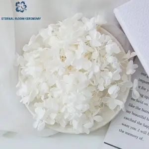 ETERNAL BLOOM CERENOMY A-Grade Preserved Hydrangea Petals, Handmade DIY Floral Craft Supplies for Bouquets, Home Decor Ornaments, Gift Plants, Decorative, Diy Crafts, Flower