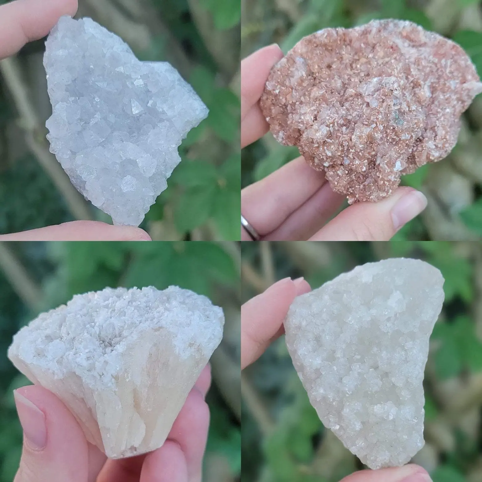 Zeolite Crystals