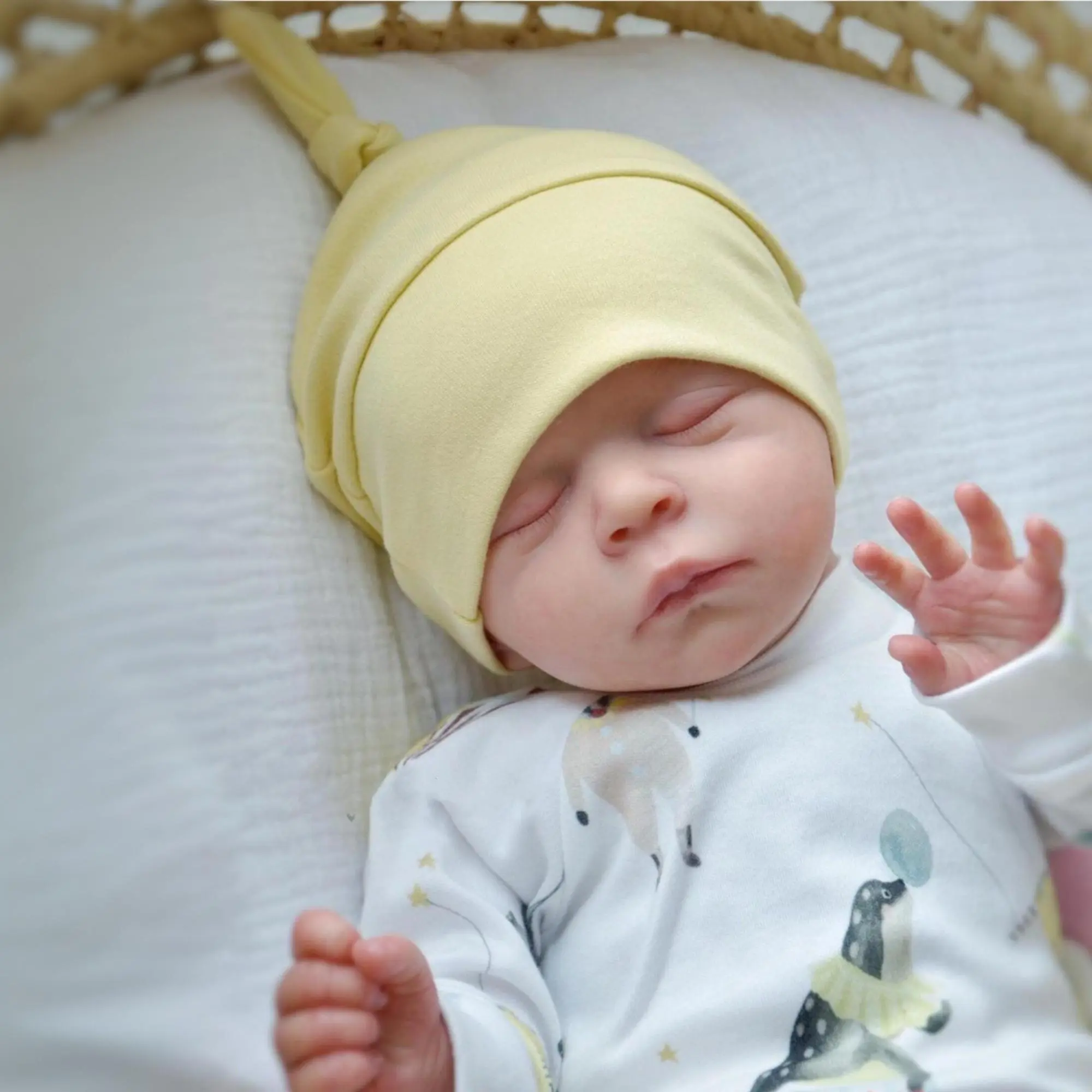 Reborn Baby Doll - 50cm/20inch Realistic Newborn Collectible Doll, 3D-Paint Skin, Visible Veins, Soft Vinyl Limbs, Cloth Body Unisex Toy for 4+Years Kids, Birthday Present, Handpainted Hair, Aids Children Development