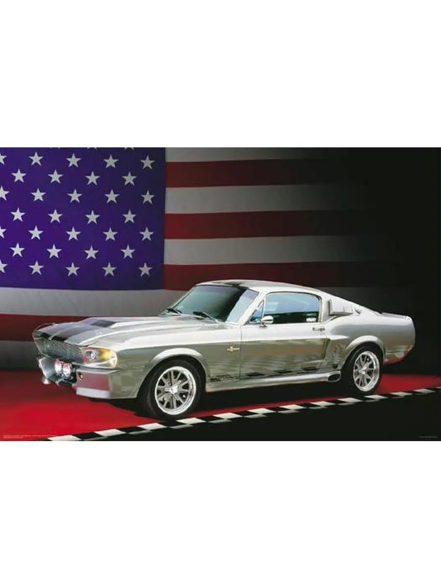 24"x 36" Shelby Poster for Artist Posters