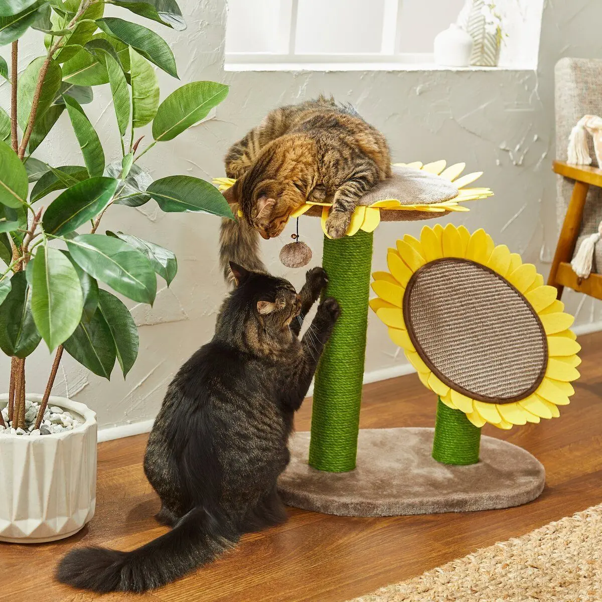 Sunflower Cat Scratching Post Two Posts with Lounger 22.83 x 14.96 x 21.65 inches