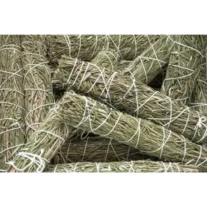 NessaStores Rosemary Smudge Stick Incense 9" Bundle (20 pcs) #JC-161