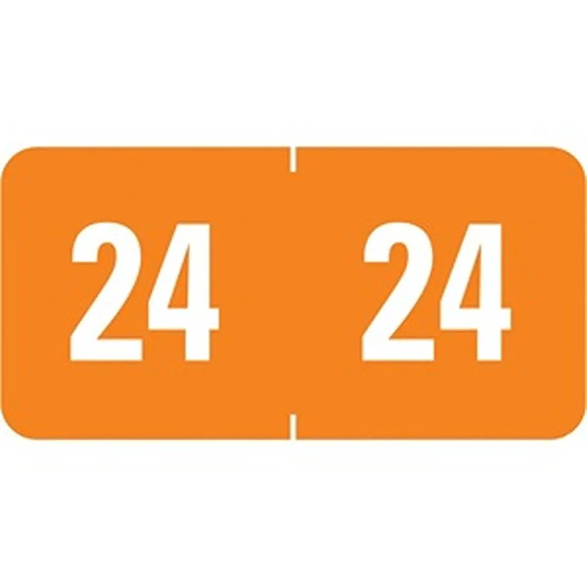 Smead ETS Color-Coded Year Label SMD67924, Orange, 1" Wide x 1/2" High Rectangular Laminated Label for File Management, Organize End-Tab Folders