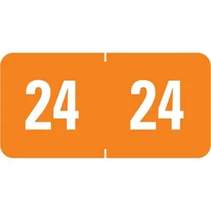 Smead SMD67924 Smead ETS Color-Coded Year Label, Orange