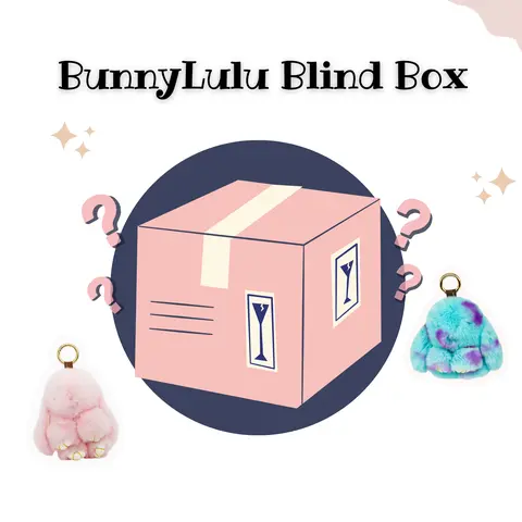BunnyLulu Kawaii Blind Bag Collectible - 1 Randomly Selected Surprise Bunny Stuffed Plush, Color Surprise, Unisex Kids Boxed Collectible Toys and Plushies, Easter & Holidays Gift for Teens
