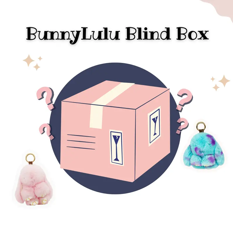 BunnyLulu Kawaii Blind Bag Collectible - 1 Randomly Selected Surprise Bunny Stuffed Plush, Color Surprise, Unisex Kids Boxed Collectible Toys and Plushies, Easter & Holidays Gift for Teens