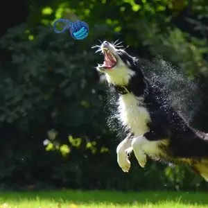 Durable Cotton, Rope, Ball Dog Toy