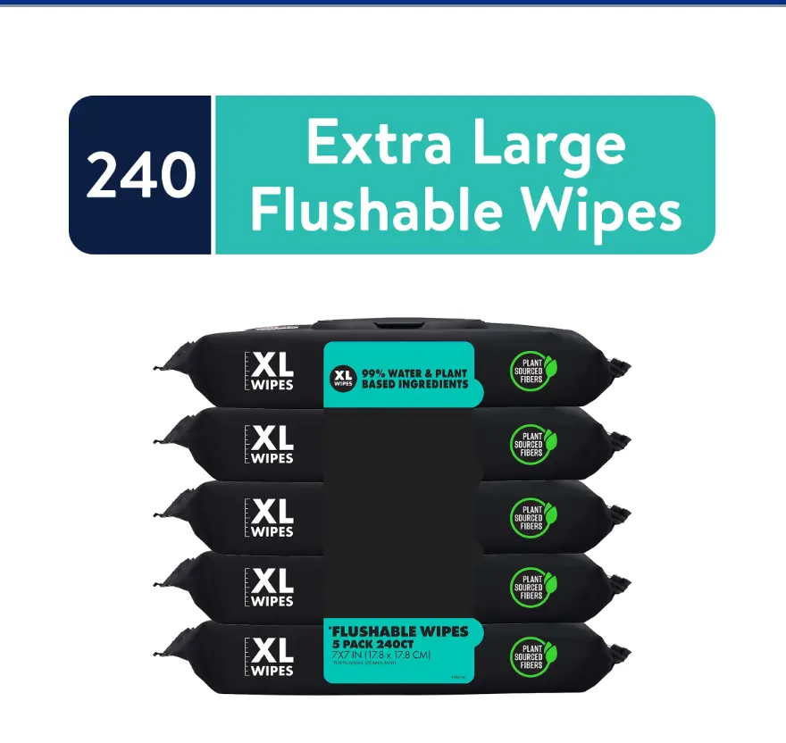 Flushable Wipes, XL Wet Wipes for at Home Use, Mint Chill, 48 Count, 5 Pack Flushable Wipes, XL Wet Wipes for at Home Use, Mint Chill, 48 Count, 5 Pack