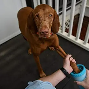 Mudbuster Cleaner for Paws